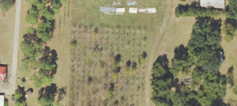 23185 Ga Hwy 37
