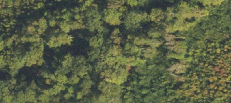 Hamilton, GA 31811