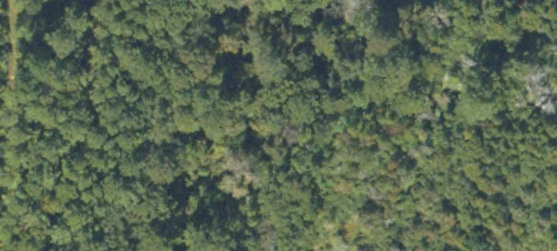 Cairo, GA 39828