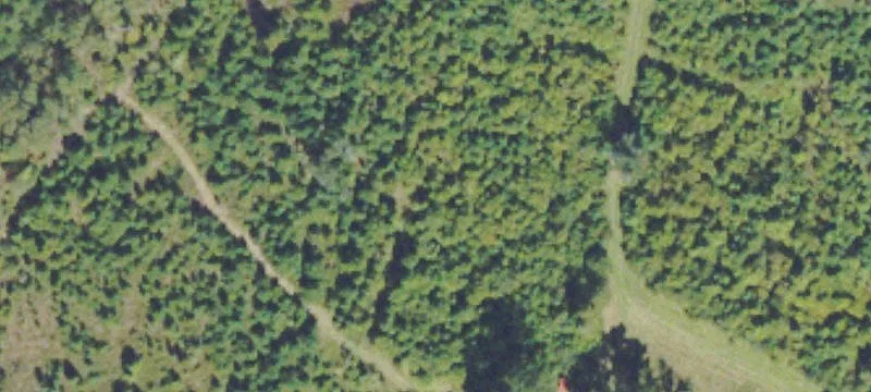 Hwy 17