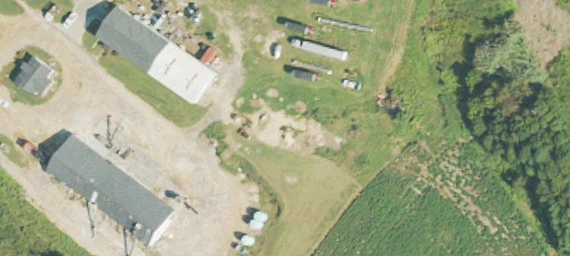 Sasser, GA 39885