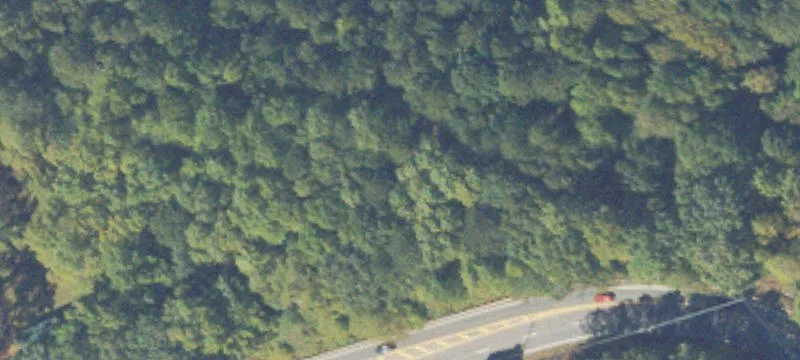 Hickory Flt Hwy