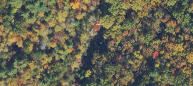 Morganton, GA 30560