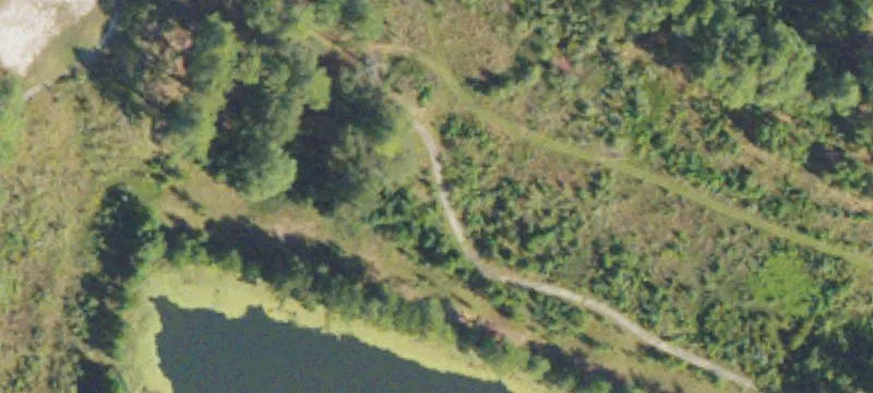 Foxfire Dr