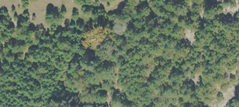 256 Knights Cemetery Rd