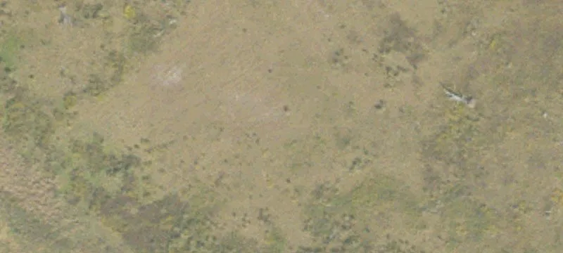 553 Carter Ml Rd