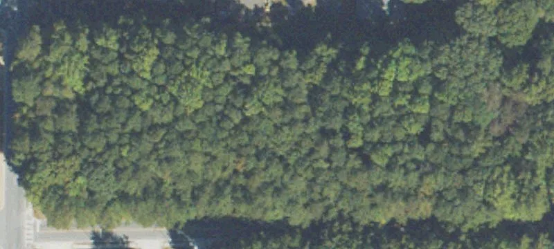 Shannon Pkwy