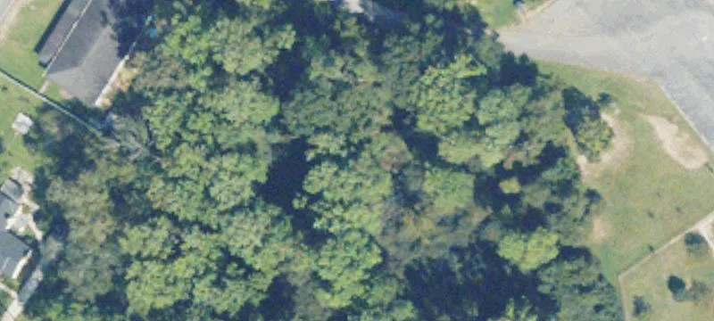 Alamo, GA 30411