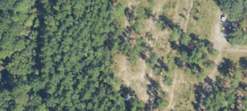 Nicholls, GA 31554