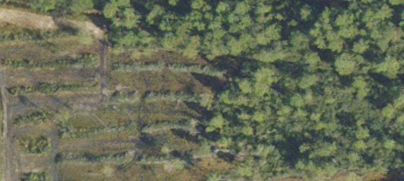Baxley, GA 31513