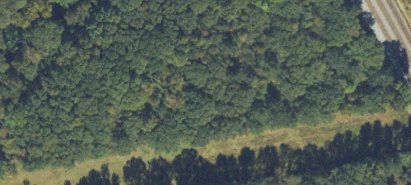 Lewis Rd
