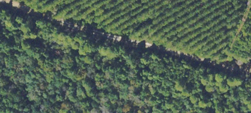 Little Creek