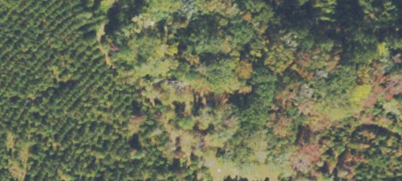 Sparta, GA 31087