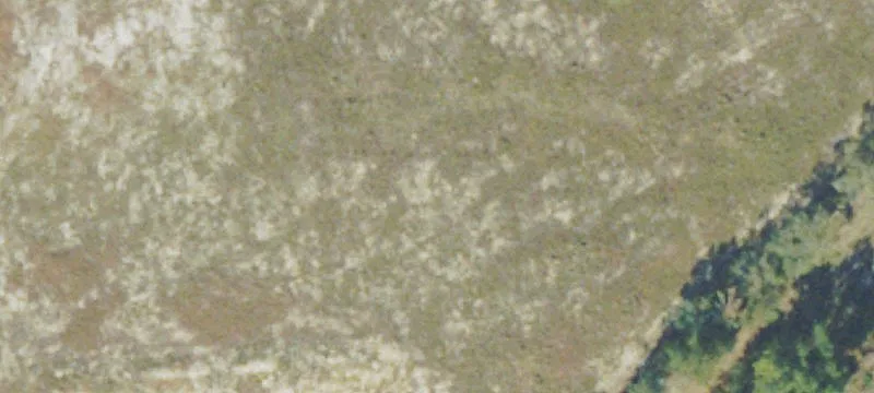 Metter, GA 30439