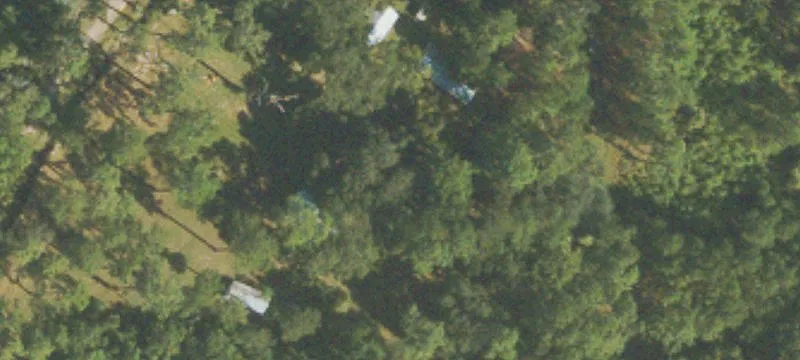 Sapelo Is