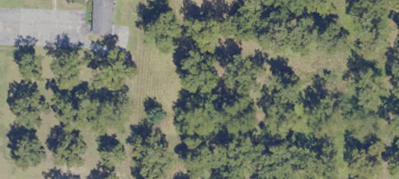 Cordele, GA 31015