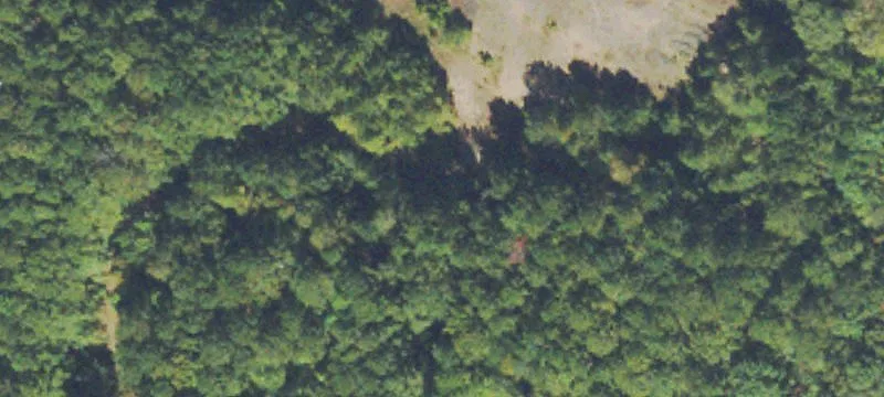 Sparta, GA 31087