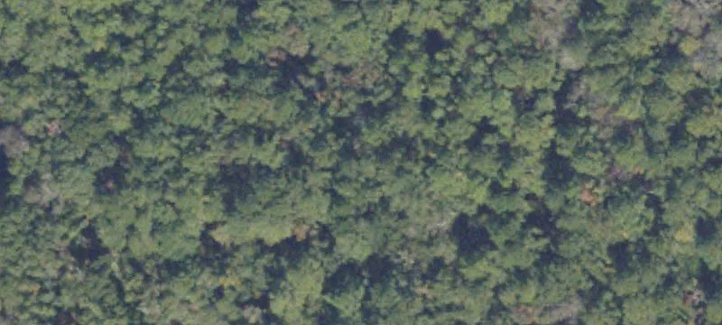 Willacoochee, GA 31650