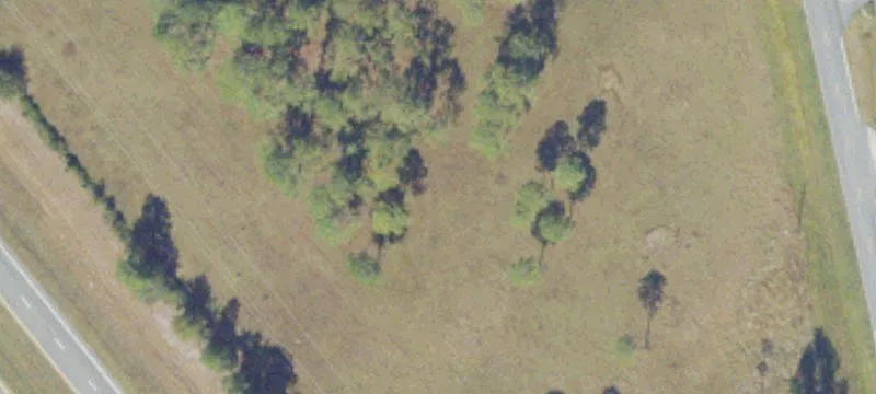 Scapa Rd