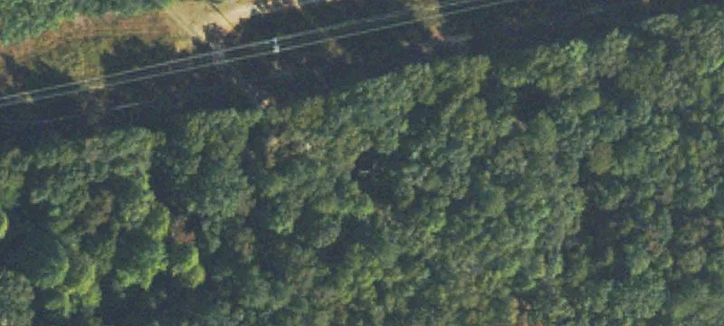 Holly St, GA