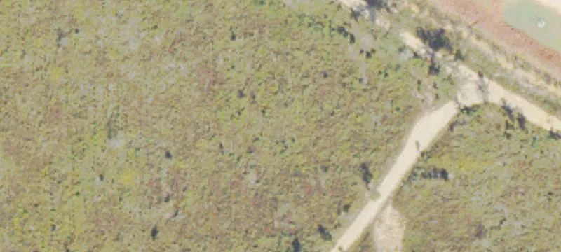 Hwy 272