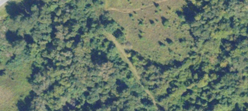 Lumber City, GA 31549