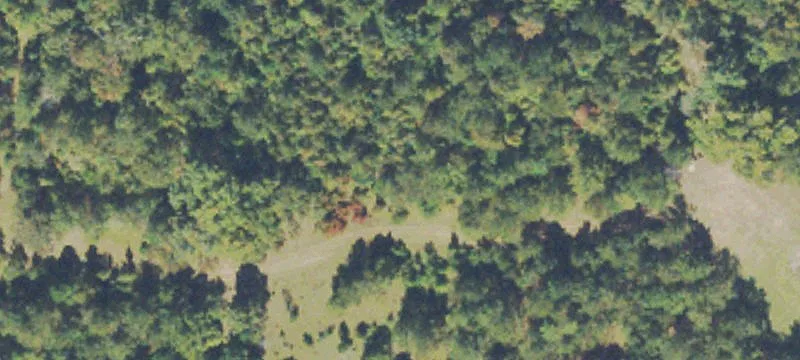 Hwy 441