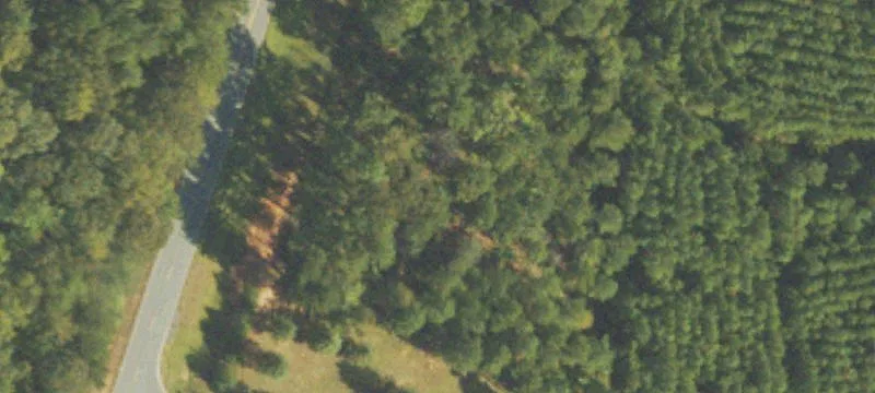 608 Ga Hwy 36