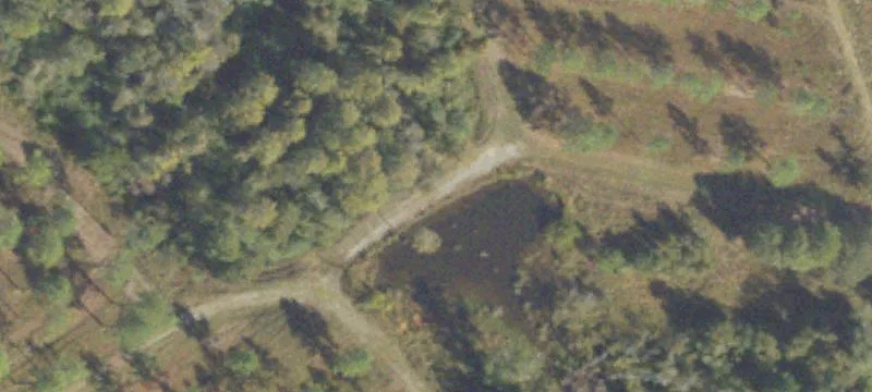 Lenox, GA 31637
