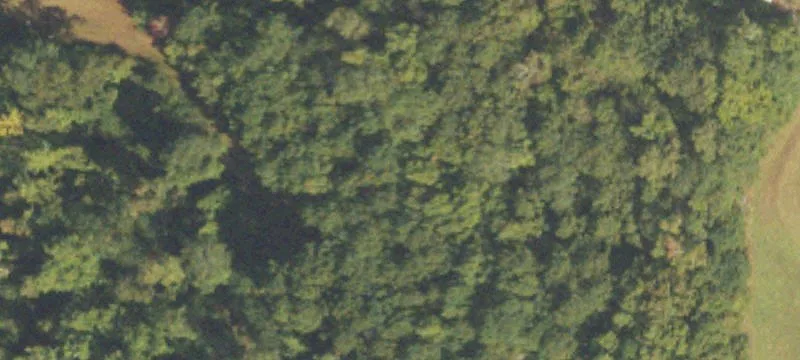 Hamilton, GA 31811