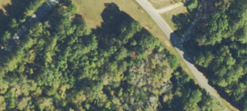 Ruckersville Rd