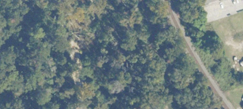 1407 Baytree Dr