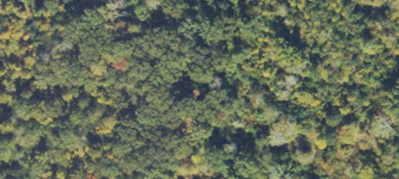 Old Hwy 41