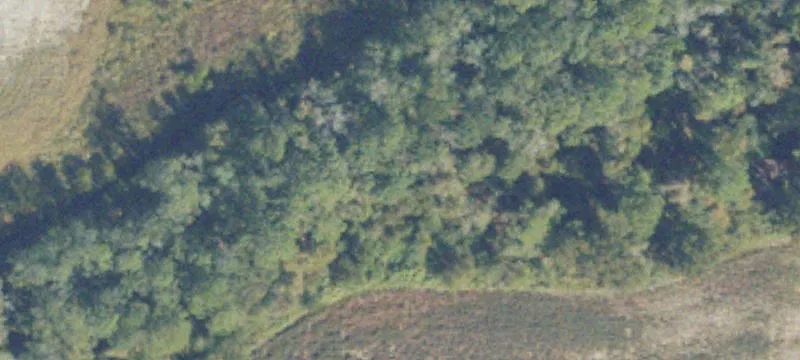 Willacoochee, GA 31650