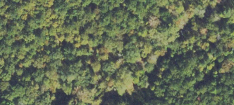 Eatonton Hwy