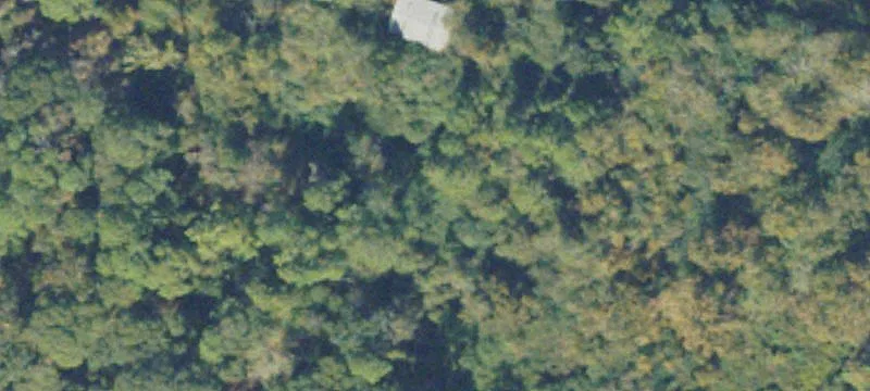 Milan, GA 31060