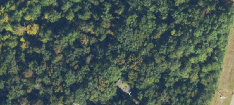 Piney Woods Est