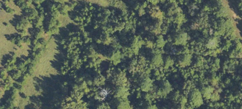 Us 82