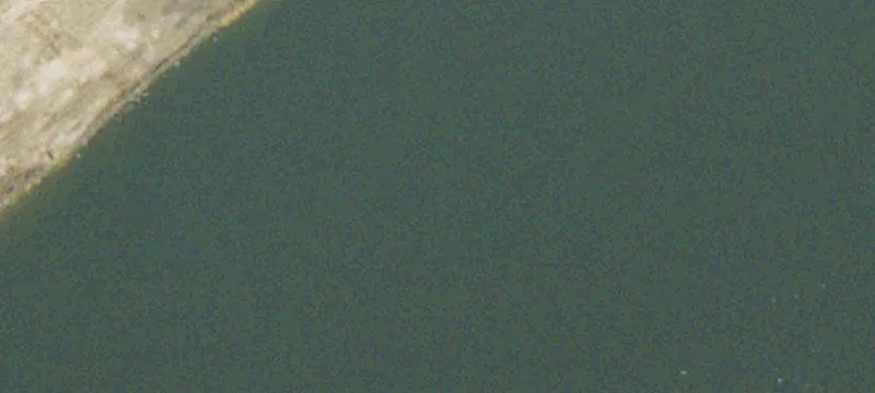 638 Ft Howard Rd