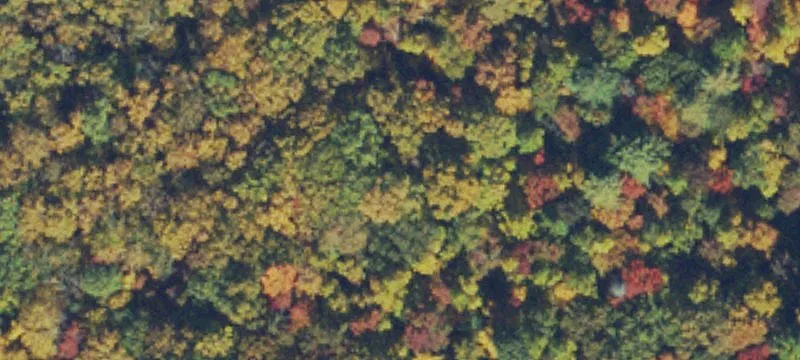 Morganton, GA 30560