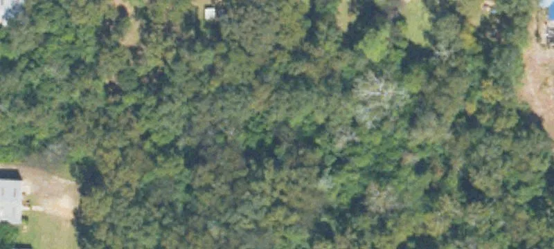 Blakely, GA 39823