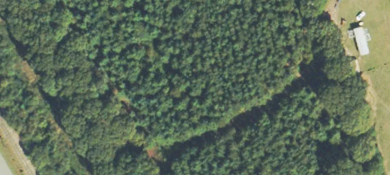 Royston, GA 30662