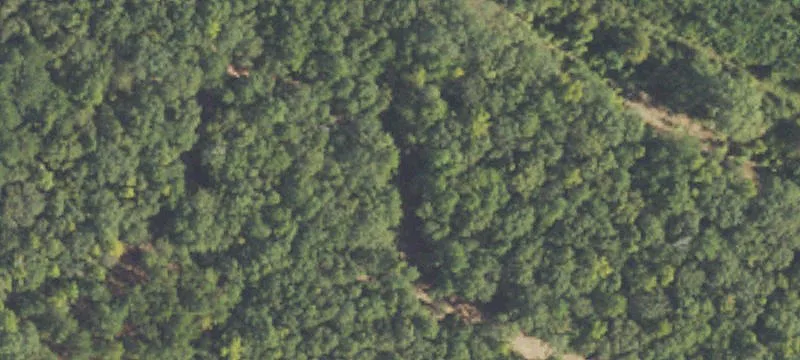 Preston, GA 31824