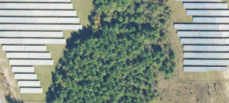 Abbeville, GA 31001
