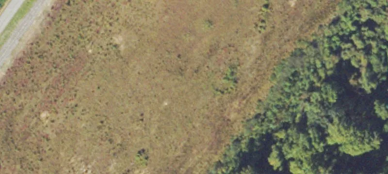 Boardtown Rd