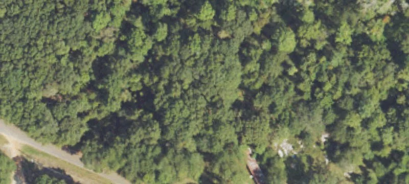 75 Ponderosa Rd