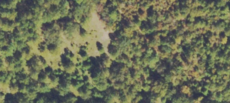 Fld Rd