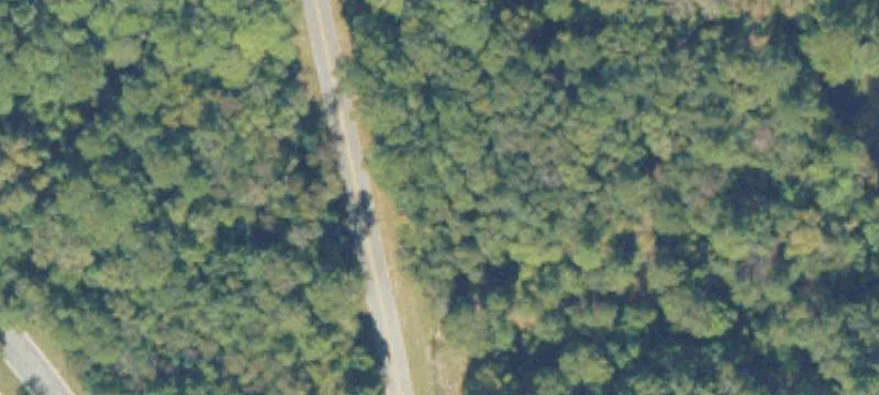 Douglas, GA 31533