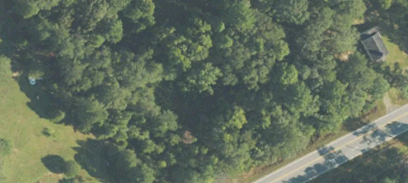 Buena Vista, GA 31803