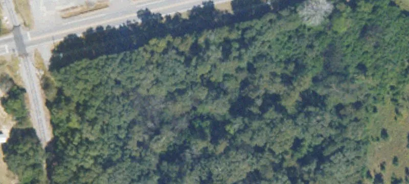 Pioneer Rd